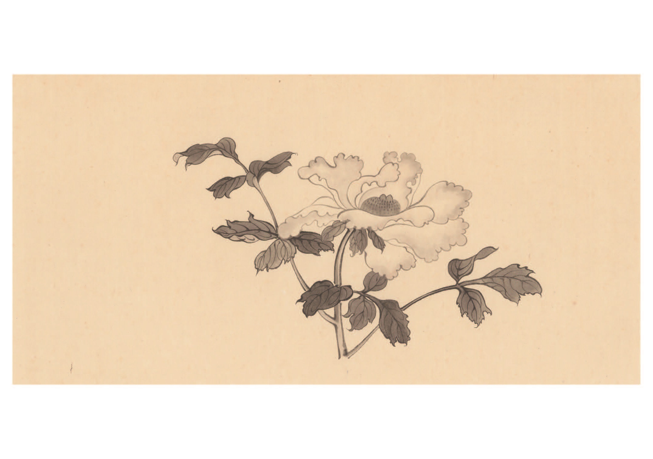 絹本 肉筆 掛軸 前程似錦 美品 工筆画 牡丹no.5-21 【公式通販】